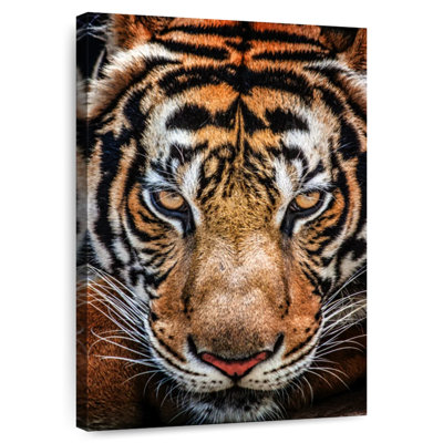 Tigre de Sibérie Brampt
