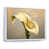 White Floater Framed