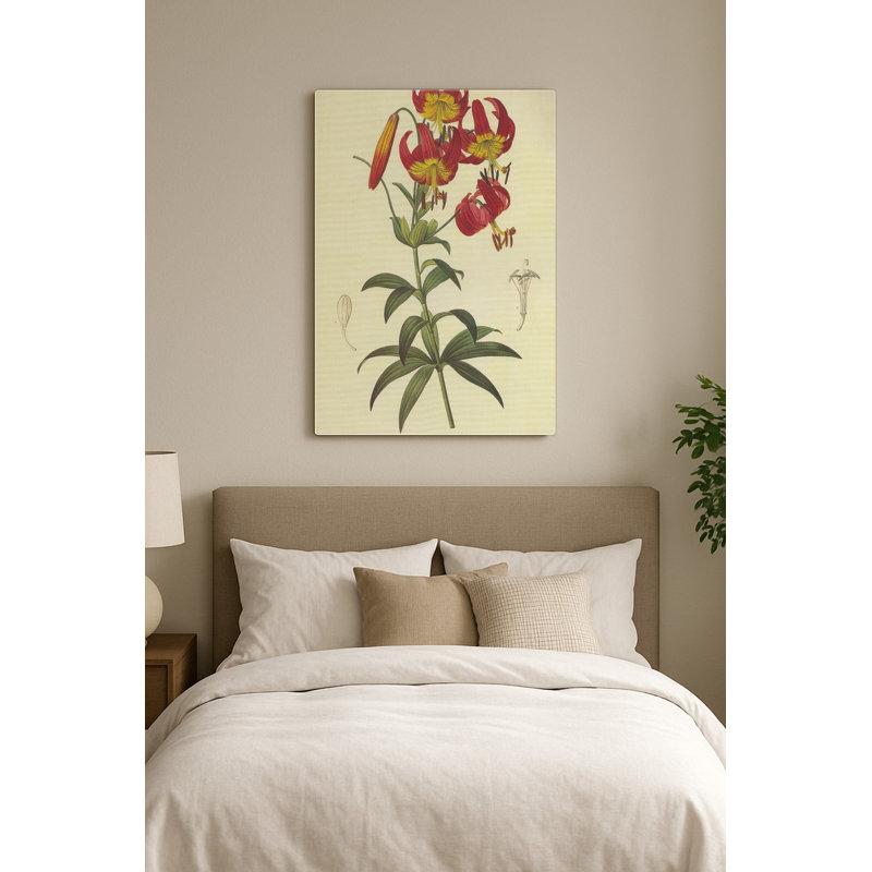 Lilium Superbum (Lily du Cap de Turk) — Portrait Art mural en métal, H 30 po x l 20 po