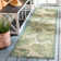 Lueck Performance Floral Indoor/Outdoor Area Rug