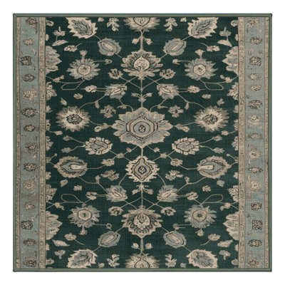 Machine Washable Overdyed Green Area Rug