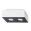 Fairlaine Flush Mount-1832728585