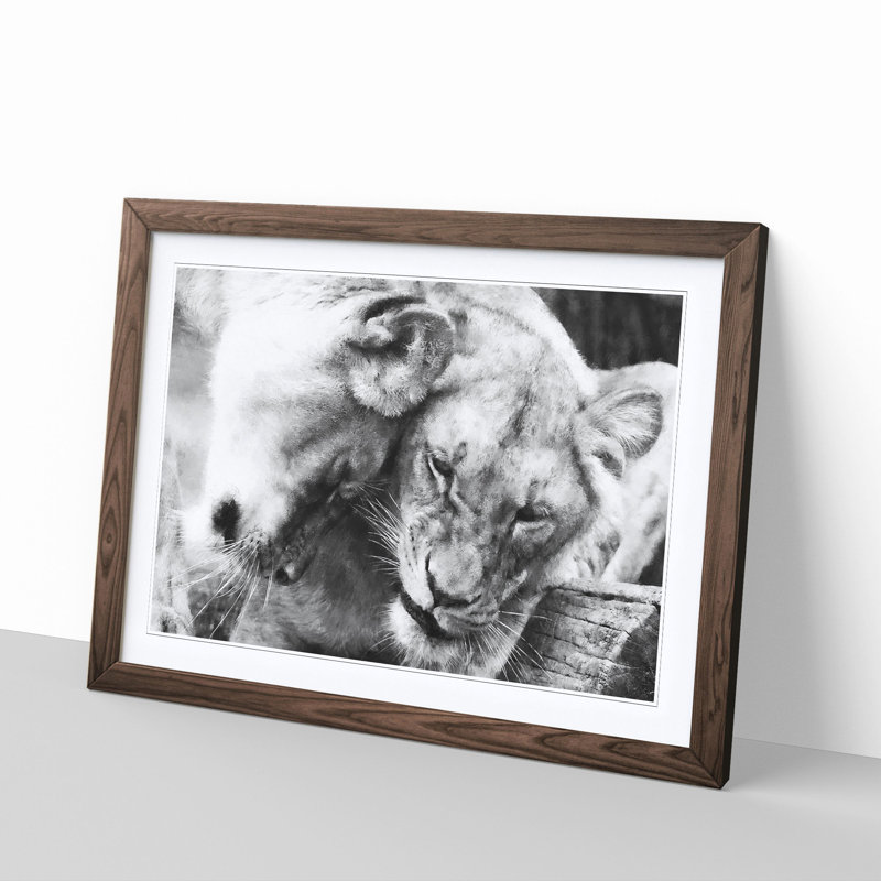 Two Snuggling Lions 1 Piece Single Picture Frame Wall Art on MDF, 45cm H x 63cm W x 2cm D, Walnut