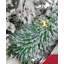 Snowy Cottage  26in Pre-Lit with 50 LED Fairy Lights B/O