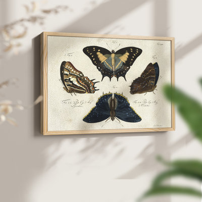 Crackled Butterflies IV -Framed Print - Restickable