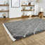Archuleta area rug Machine Woven Grey