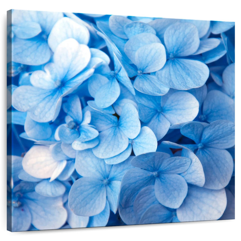Harnek Blue Flowers, 39" H x 39" W