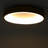Gragston 18.5Inch Minimalist Modern Wooden Round LED Ceiling Light