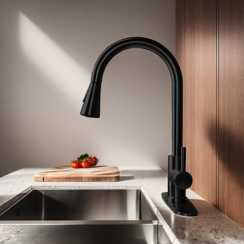 Robinet de cuisine Casa Eclat, Noir mat