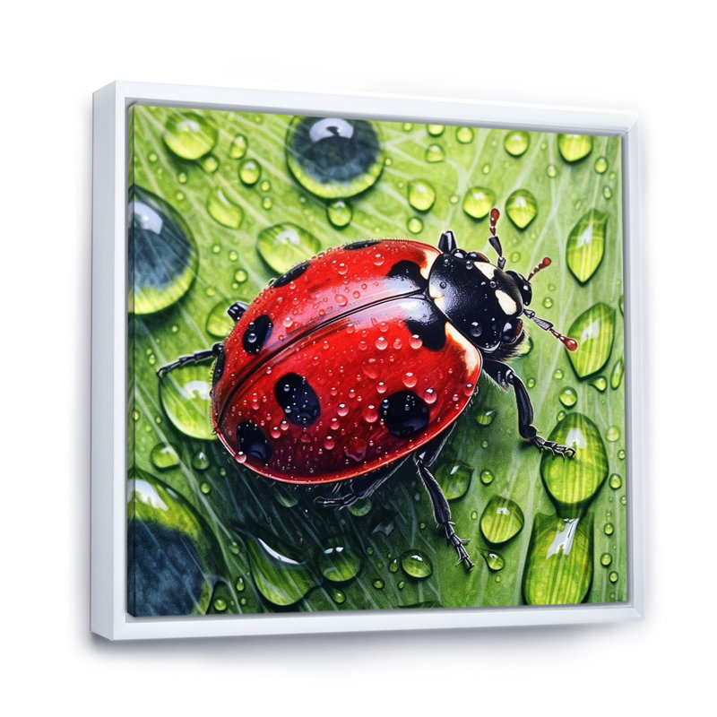 Coccinelles rouges et noires II sur toile, H 24 po x l 24 po x P 1 po, Cadre flottant blanc