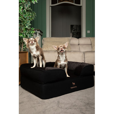 Lit pour petit chien Noah & Paw, lit pour chat d'intérieur, mousse viscoélastique orthopédique imprégnée de gel rafraîchissant, housse intérieure imperméable lavable à la machine (collection Denim)