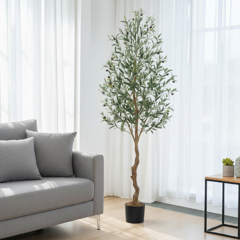 180cm Plant