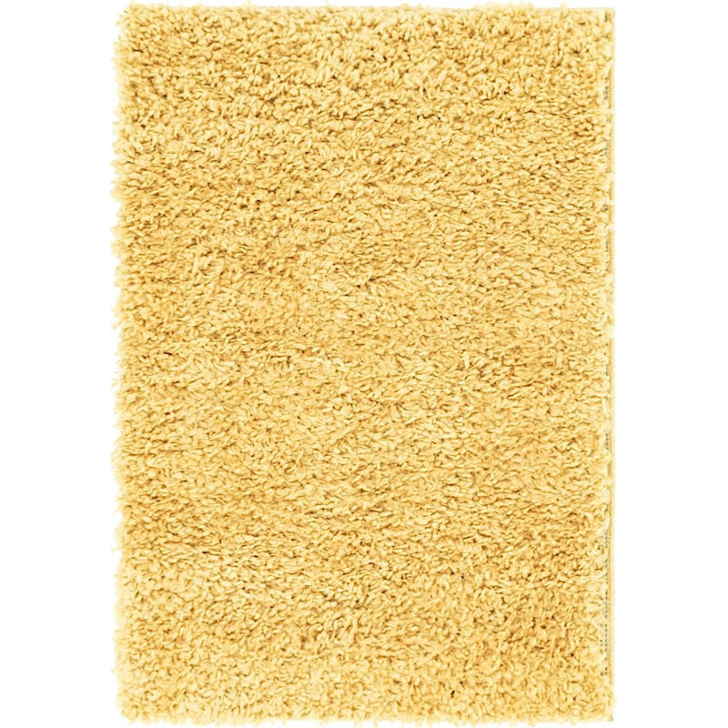 Carlosadrian Oriental Indoor Rug, Rectangle 2'2" x 3'