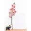 Arrangement de fleurs de cerisier-1424964338