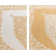 Dynamic Ornamental Indoor / Outdoor Area Rug