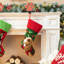 Chaussette de Noël, chien