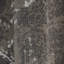 Tapis gris / ivoire Nemaha-954080348