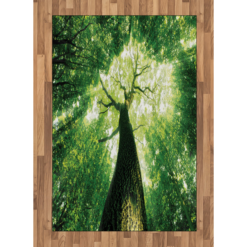 Landscape High Density Long Fiber Poly Threads Decorative Area Rug Carpet, Rectangle 4' x 5'8"