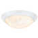 Ceiling Light