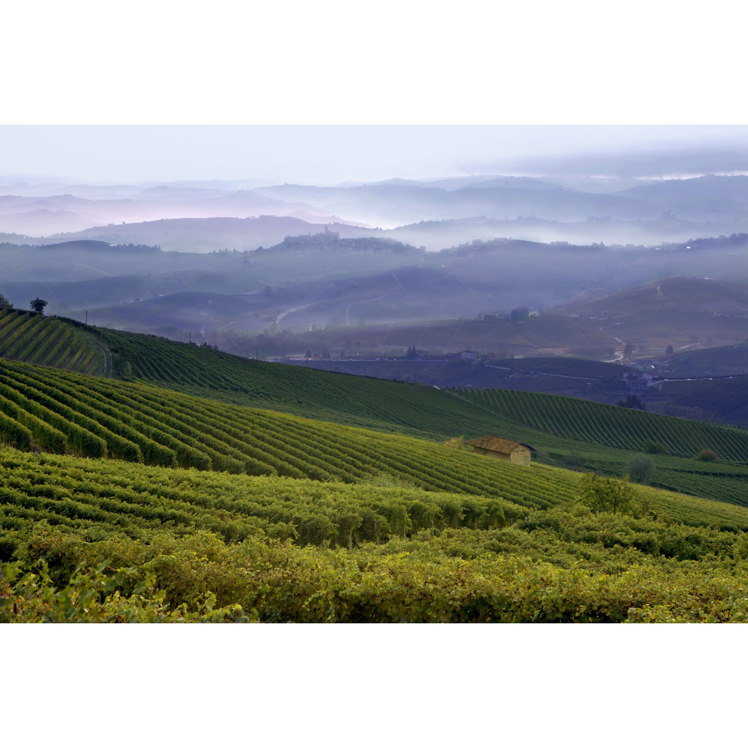 Blick auf einen Weinberg in Langhe von Oxana Litvinova - Leinwanddrucke