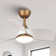 Haywa 28'' Ceiling Fan with LED Lights