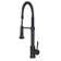 Apollo Pull Down Single Handle Kitchen Faucet with Side Spray and Accessories