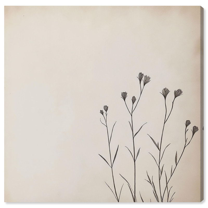 Branches of Calm 30" x 30" Vintage Botanic Wrapped Canvas Art