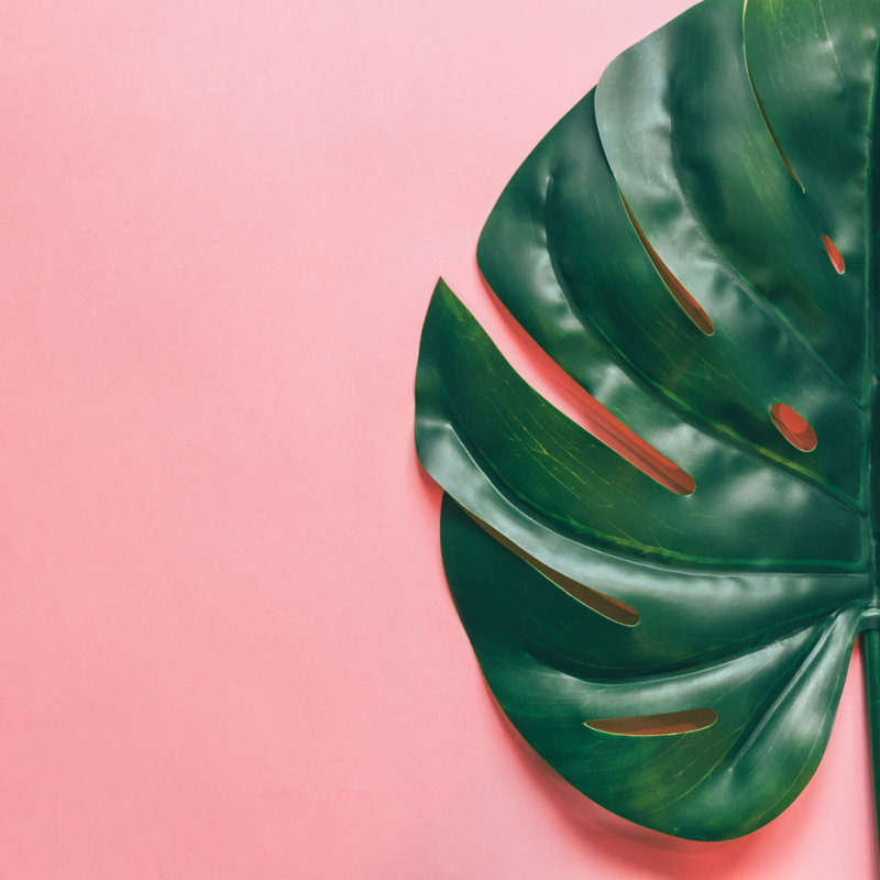 Selznick Green Leaf by Katya_Havok - Wrapped Canvas Print, 30cm H x 30cm W 3.8cm D