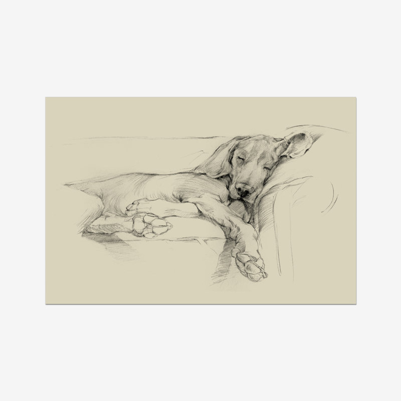 Dog Days I by Ethan Harper - Wrapped Canvas Print, 20cm H x 30cm W, Paper Print