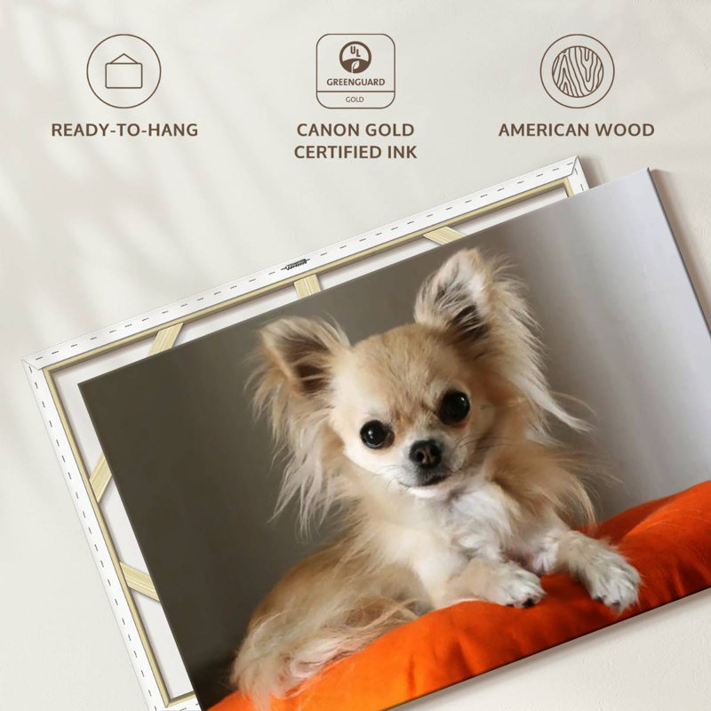 Crowle Chihuahua On Pillow, 32" H x 48" W