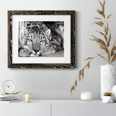 Snow Leopard Sanctuary - Photographie avec cadre photo
