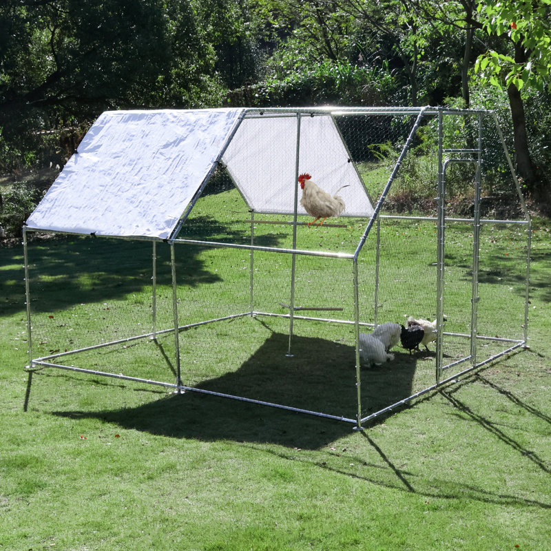 Poulailler avec couvercle imperméable et anti-UV Lavonne, H 78,72 po x l 120 po x P 120 po