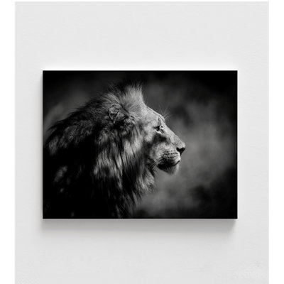 The Male By Xavier A, Big Cat Photography, Wild Animal Picture, Safari Lion Photo Poster Print, Feline House Wall Decor