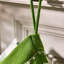 Polyester Stocking