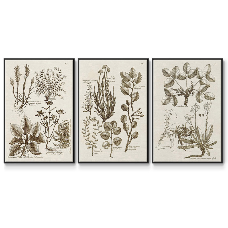 " Sepia Botanical Journal VI " 3 - Pieces, Noir, H 36 po x l 72 po x P 2 po
