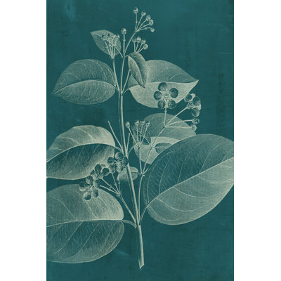 Modern Botany II 1 Piece Wrapped Canvas Wall Art