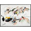 Bailamos Print by T.R. Joseph