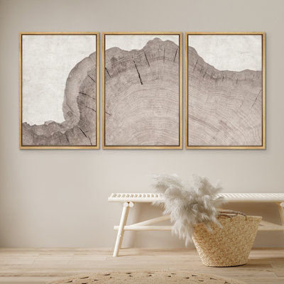 Oak Wood Tree Ring Botanical Illustrations, Minimalist Modern Neutral Boho Pictures, Giclee Canvas Digital Print Framed Wall Art
