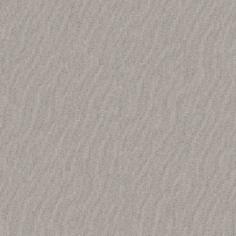 Rouleau de papier peint texturé Designer Colors, Argent argent