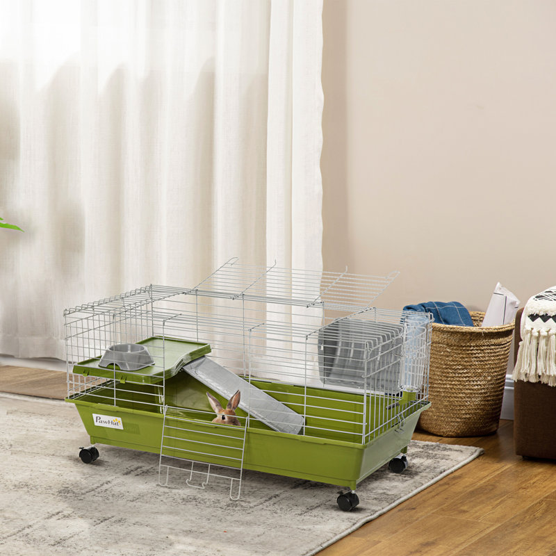 Cage pour animaux Emmerie, 17" H x 35" W x 17.25" D, Green