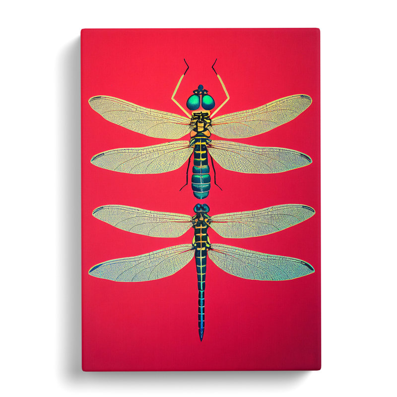 Two Pretty Dragonflies - Wrapped Canvas, 50cm H x 35cm W x 3cm D