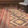 Mcdowell Moroccan Indoor / Outdoor Area Rug