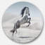 Photographie d'un cheval blanc au galop-35105335-35105341