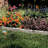1.75 Ft. H x 5.75 Ft. W Resin Lawn Edging