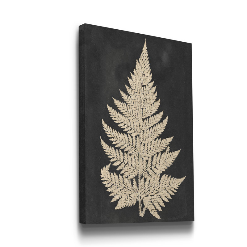 Linen Fern I Canvas Painting Print, 20" H x 16" W x 1" D