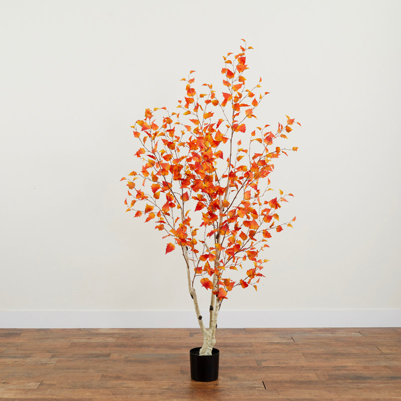 Argonaut 72'' Faux Foliage Tree in Pot