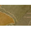 Hand-Knotted High-Quality Orange and Green Area Rug