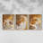 Abstract  Series  CXLV  -Set Of 3 Framed Giclee Prints -Ready to Hang-107252659-107252657