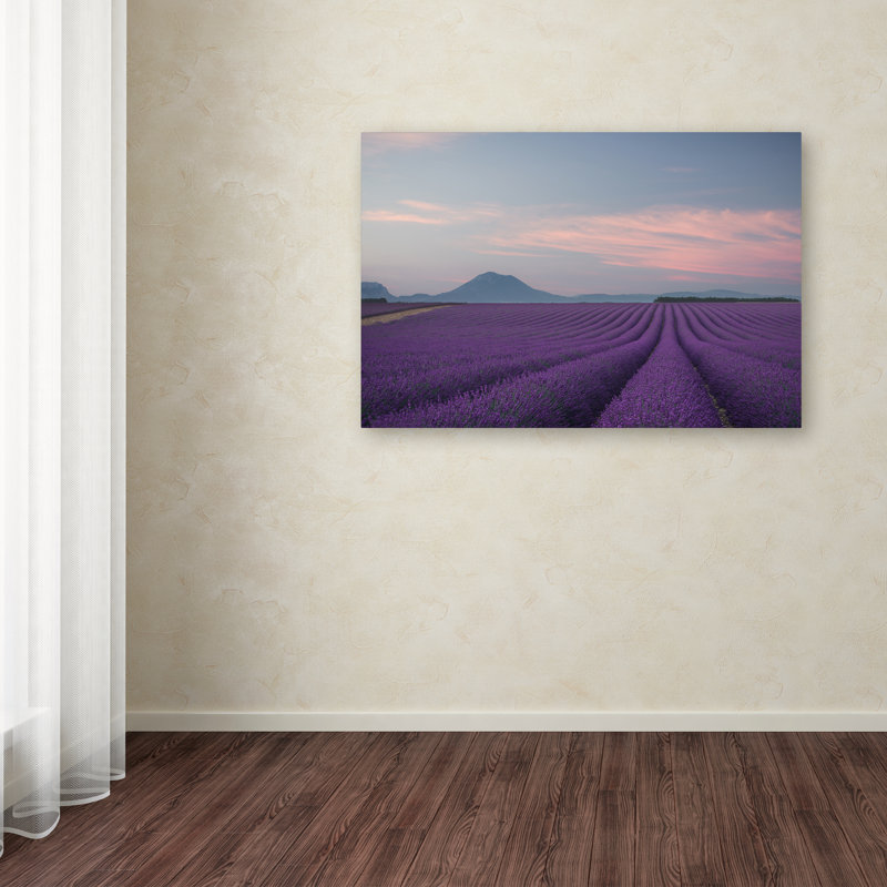 « lavande field », reproduction de photo sur toile tendue, 16 po x 24 po
