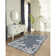 Mance Indoor / Outdoor Rug